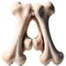 Bones letter A design