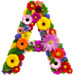 Letter A in Summer Flowers type design