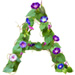 Letter A in Morning Glory type design