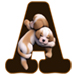 Puppies type letter A