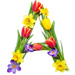 Letter A in Spring Flowers type design