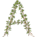 Thyme letter A design
