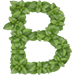 Basil letter B design