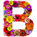 Letter B in Summer Flowers type design