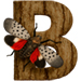 Lanternfly letter B