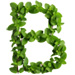 Mint letter B design