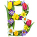 Letter B in Spring Flowers type design