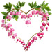 Bleeding Hearts Heart