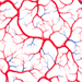 Blood Pattern