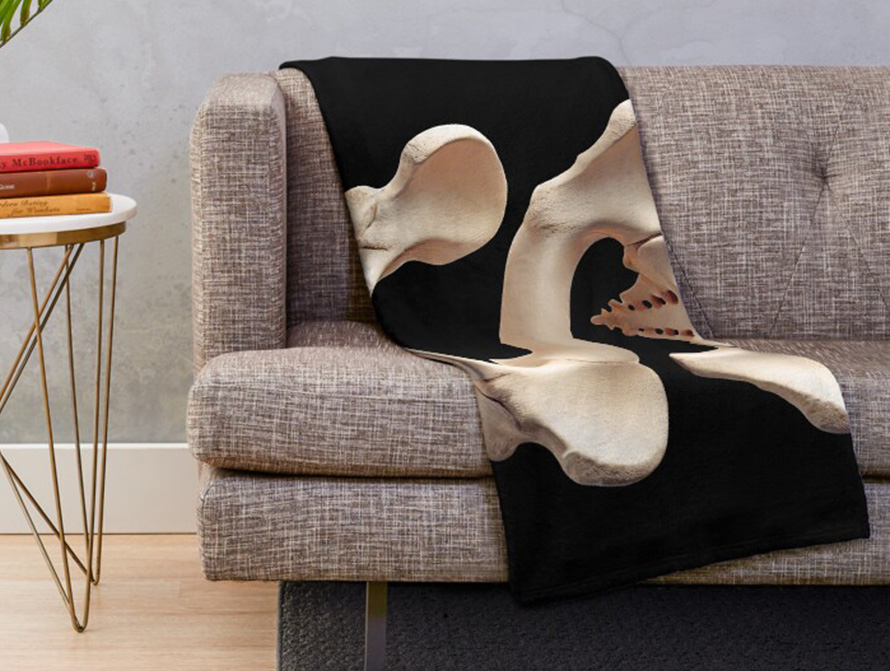 Blanket throw and pillow printed with Bones type design
