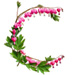 Letter C in Bleeding Hearts type design