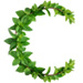 Mint letter C design