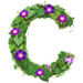 Letter C in Morning Glory type design