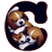 Puppies type letter C
