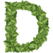 Basil letter D design