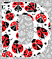 Ladybug type letter D