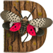 Lanternfly letter D