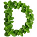 Mint letter D design
