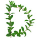 Sprig letter D design
