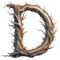 Surreal type letter D