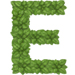 Basil letter E design