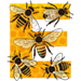 Bees letter E