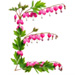 Letter E in Bleeding Hearts type design