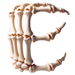 Bones letter E design