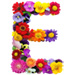 Letter E in Summer Flowers type design