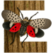 Lanternfly letter E