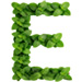 Mint letter E design