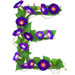 Letter E in Morning Glory type design