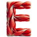 Muscles type letter E