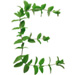 Sprig letter E design