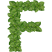 Basil letter F design
