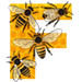 Bees letter F