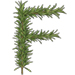 Rosemary letter F design
