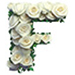Roses type letter F