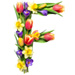Letter F in Spring Flowers type design