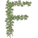 Thyme letter F design