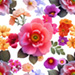 Summer Flowers Pattern