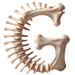 Bones letter G design
