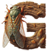 Cicada letter G