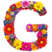 Letter G in Summer Flowers type design
