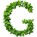 Mint letter G design
