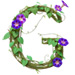 Letter G in Morning Glory type design