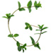 Sprig letter G design