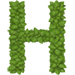 Basil letter H design