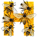 Bees letter H