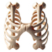Bones letter H design